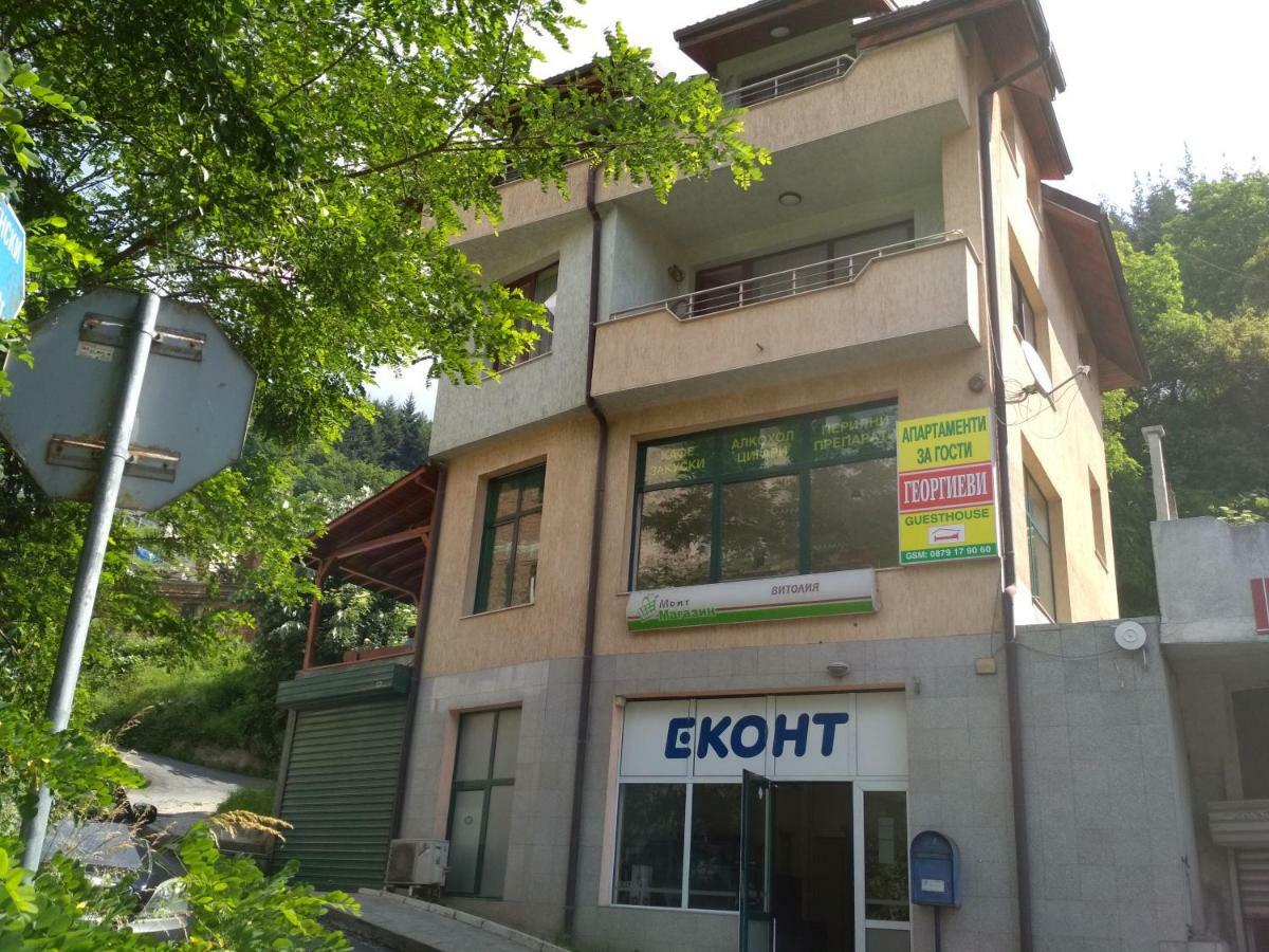 Къща За Гости "Георгиеви" Smolyan Buitenkant foto